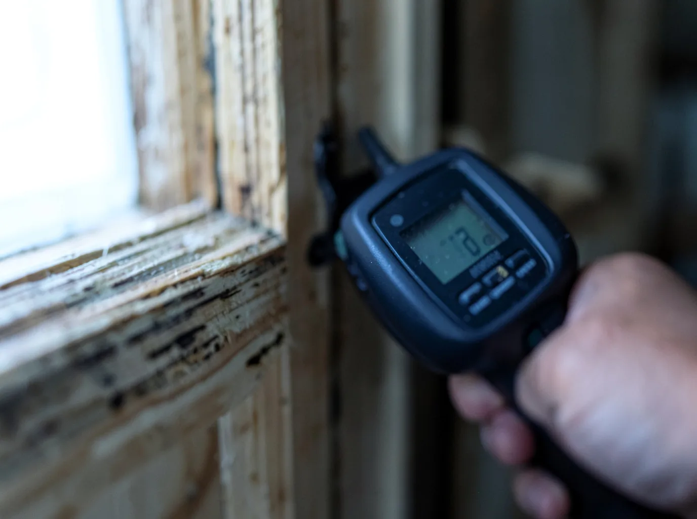 Moisture Inspection And Documentation in Sunnyside, WA